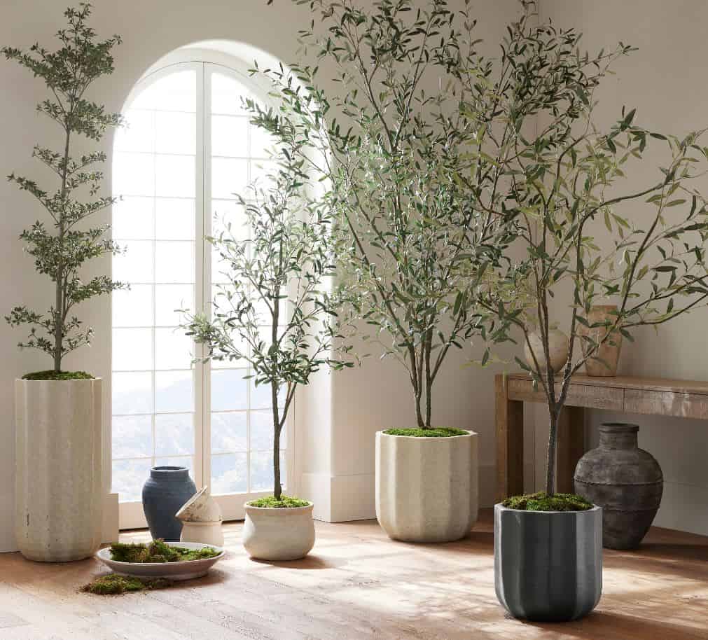 Sparse Faux Olive Tree