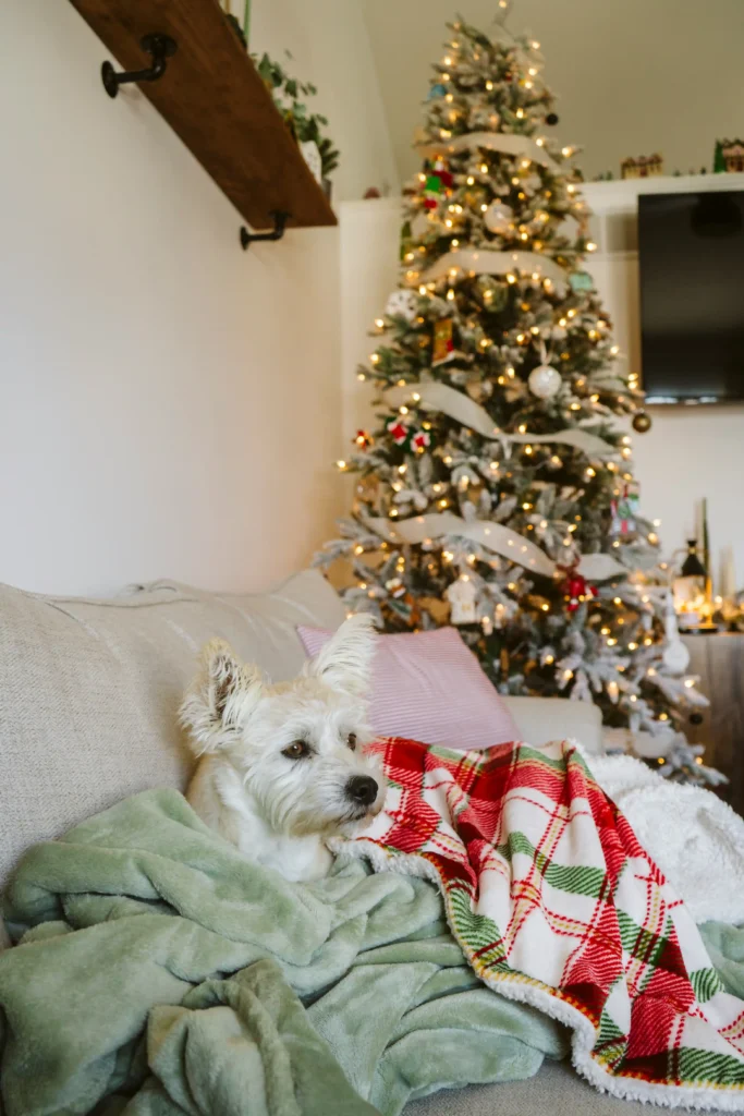 christmas throw blankets