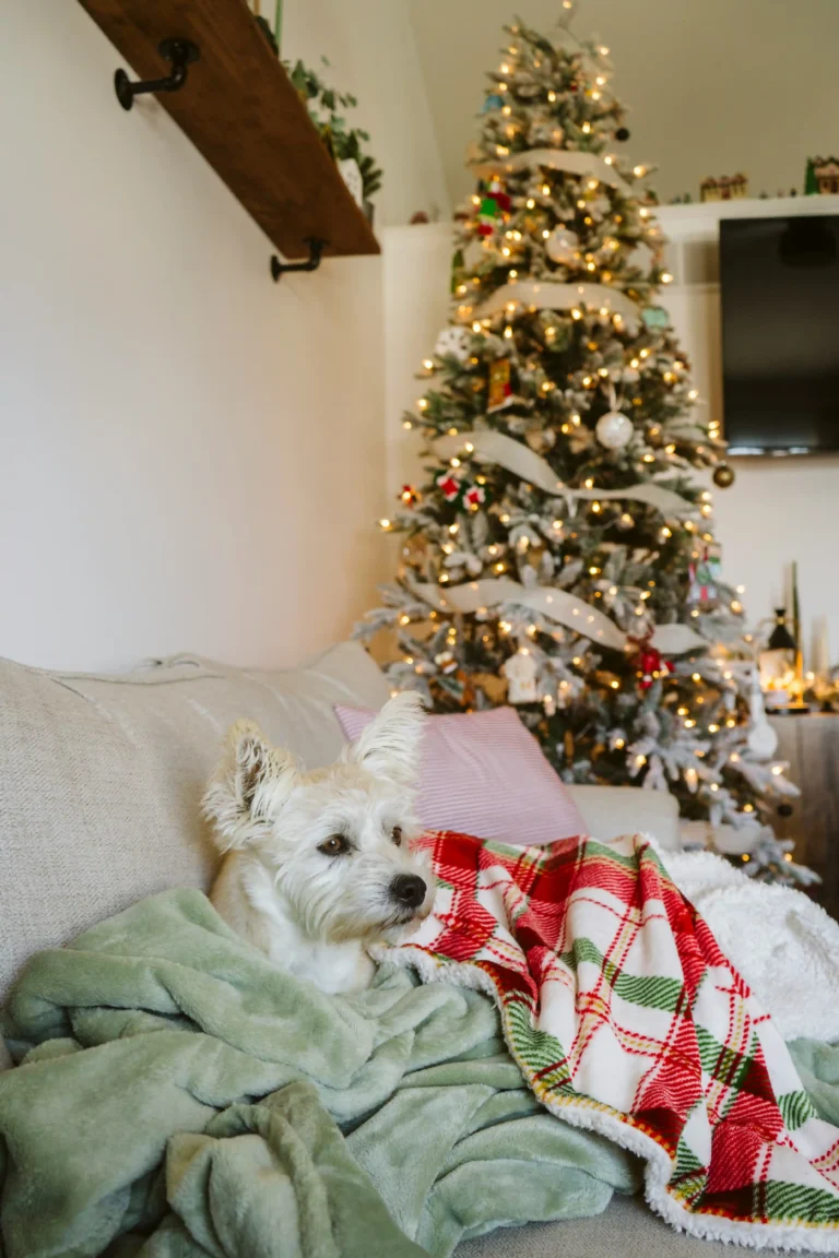 15 Christmas Throw Blankets to Cozy Up Your Home