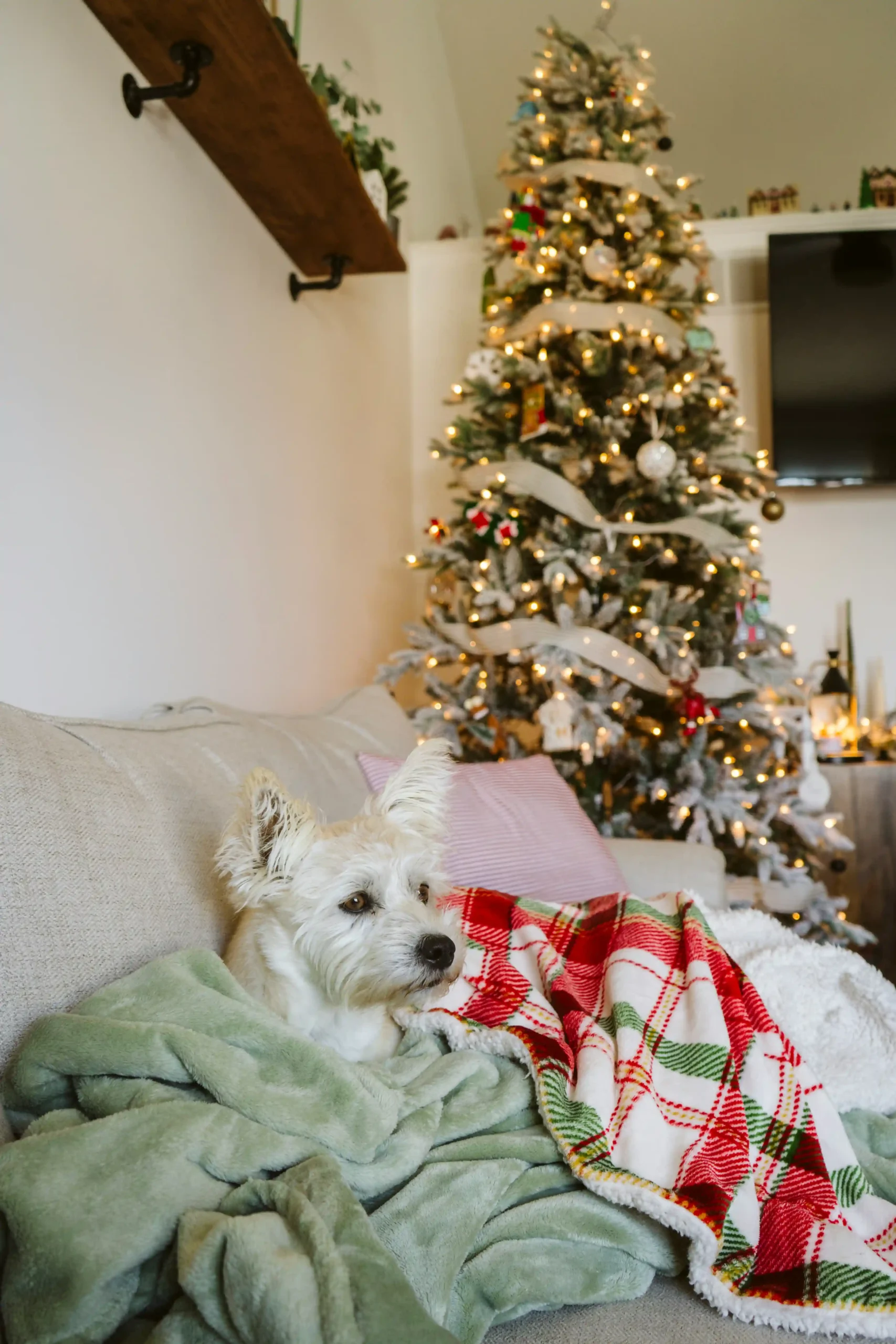 15 Christmas Throw Blankets to Cozy Up Your Home