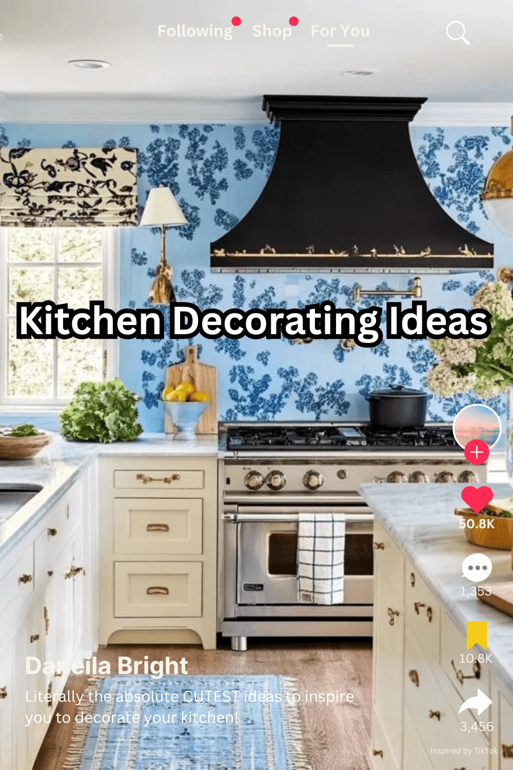 Kitchen decorating ideas - Daneila Bright