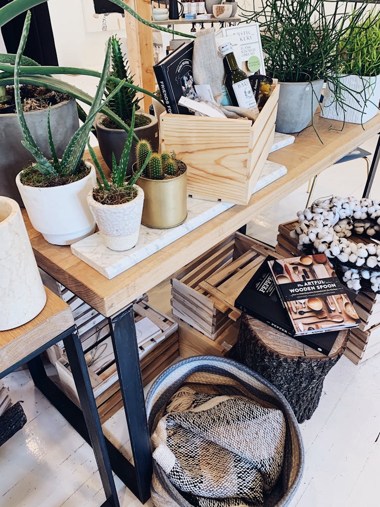 1st apartment essentials list