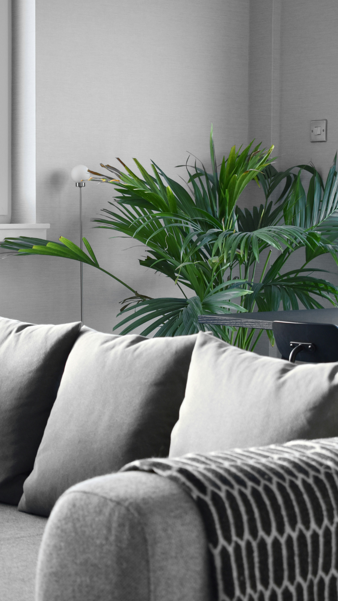 12 Gray Living Room Ideas With Pop Of Color That Instantly Warm Up the ...
