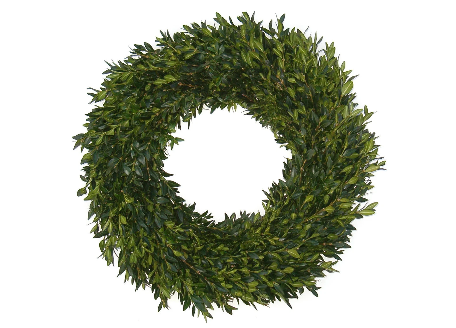 Boxwood Wreath 14", Fresh Boxwood Wreath, Fresh Christmas Wreath, Burlap Bow, Front Door Wreath, Natural Wedding Decor, Real Boxwood, Gift - Etsy