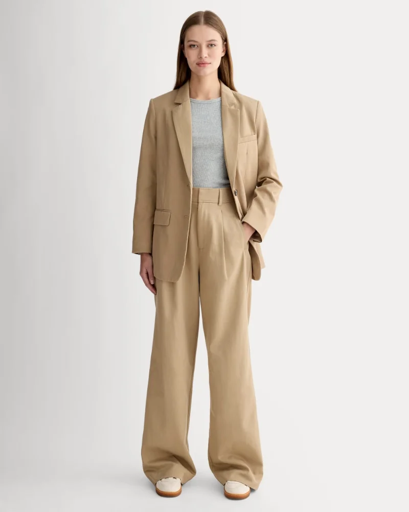Everlane Way-High Drape Pant in ash brown