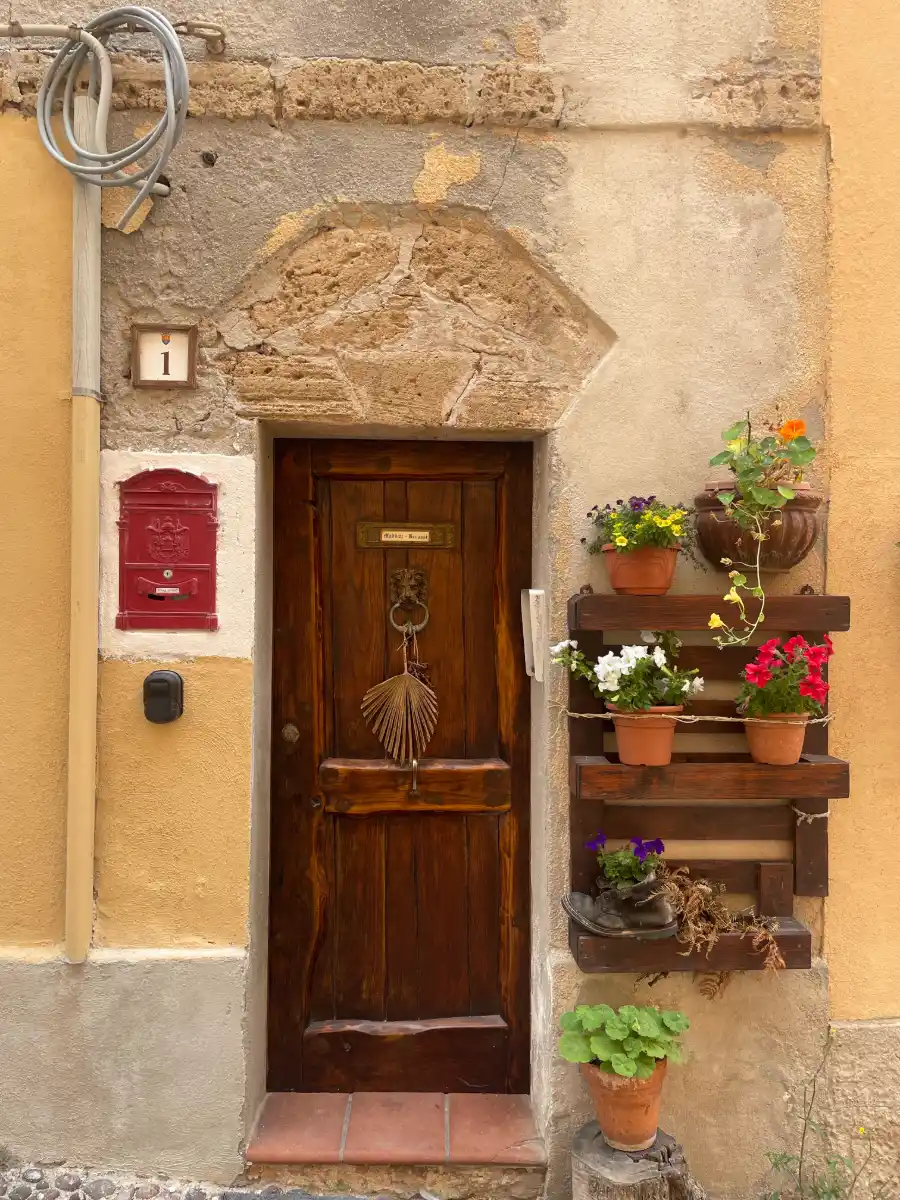 wood front door with potted plants