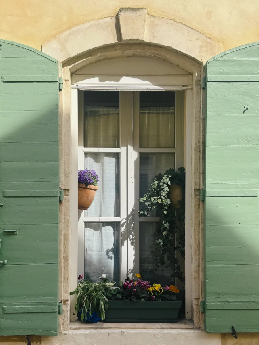 sage green shutters on a window