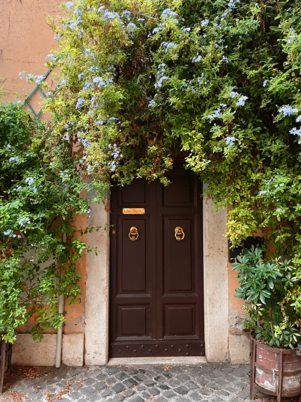 front door framed by climbing vines